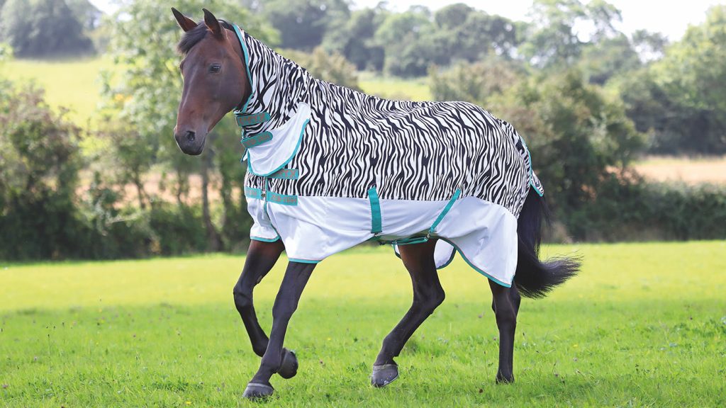 Turnout Rugs and Fly Rugs for Horses